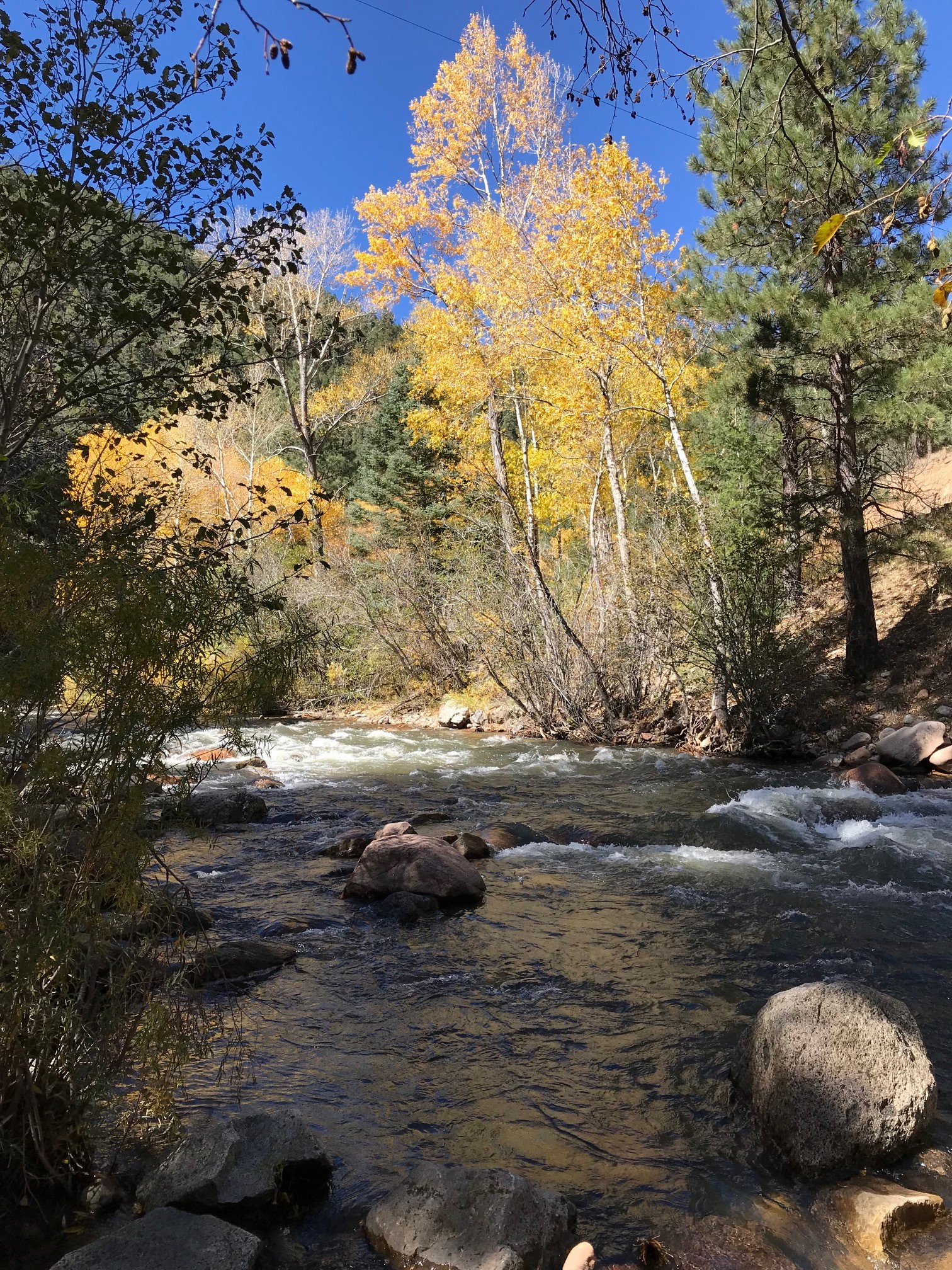 pecos river pic